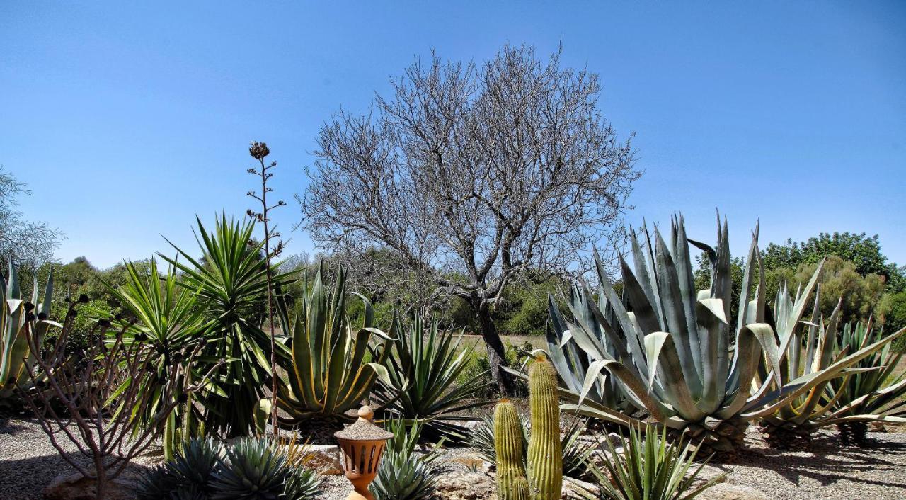 Finca Casa Mas Santanyí Eksteriør bilde