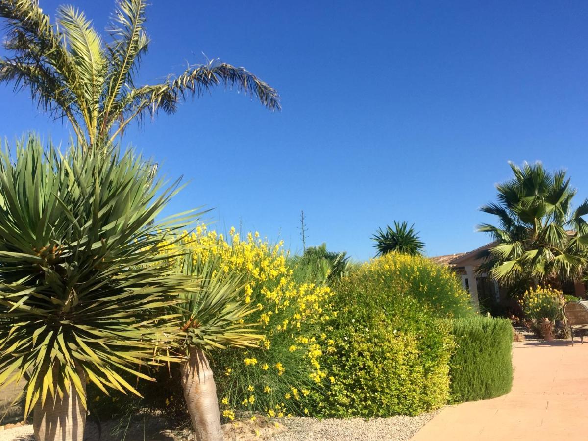 Finca Casa Mas Santanyí Eksteriør bilde
